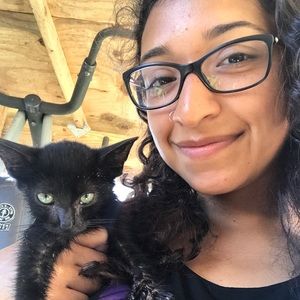 Meet your Posher, Rosalinda